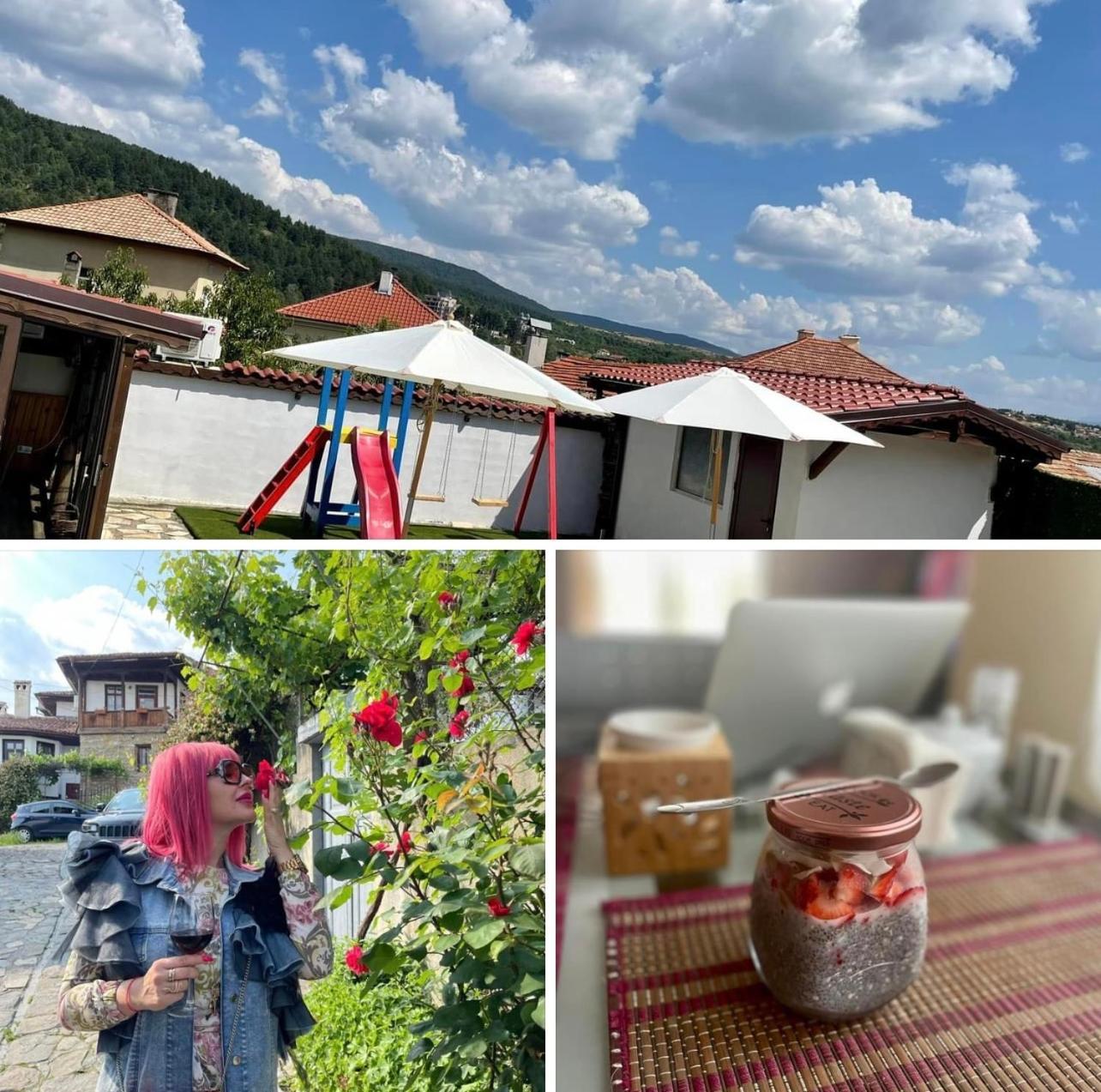 Boris House Hotel Ognyanovo  Bagian luar foto